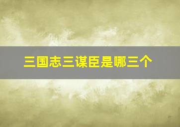 三国志三谋臣是哪三个