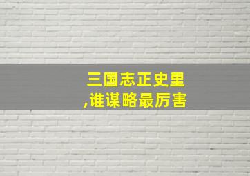 三国志正史里,谁谋略最厉害