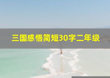 三国感悟简短30字二年级