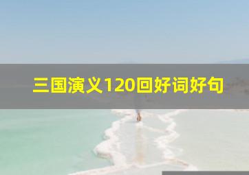 三国演义120回好词好句