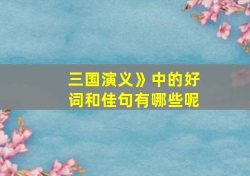 三国演义》中的好词和佳句有哪些呢