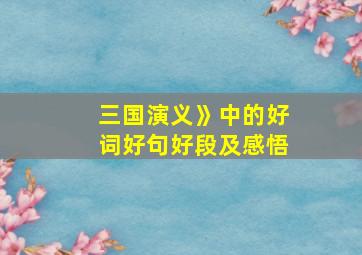 三国演义》中的好词好句好段及感悟