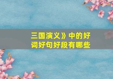 三国演义》中的好词好句好段有哪些