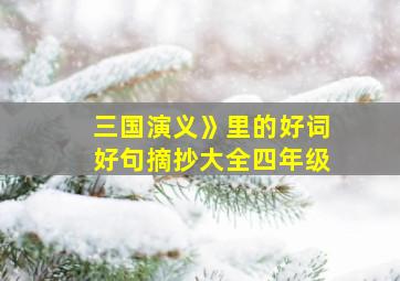 三国演义》里的好词好句摘抄大全四年级