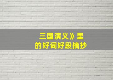 三国演义》里的好词好段摘抄