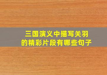 三国演义中描写关羽的精彩片段有哪些句子