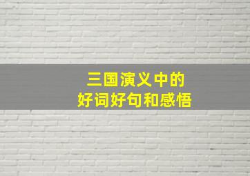 三国演义中的好词好句和感悟