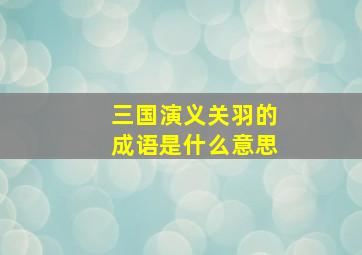 三国演义关羽的成语是什么意思