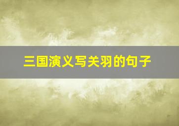 三国演义写关羽的句子