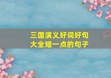 三国演义好词好句大全短一点的句子