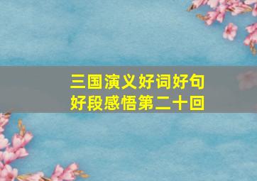 三国演义好词好句好段感悟第二十回