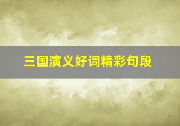 三国演义好词精彩句段