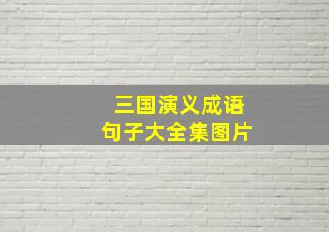 三国演义成语句子大全集图片