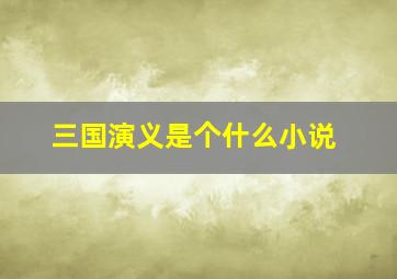 三国演义是个什么小说