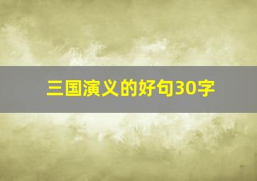 三国演义的好句30字