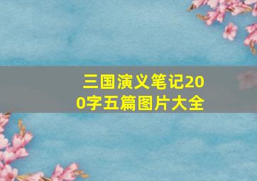 三国演义笔记200字五篇图片大全