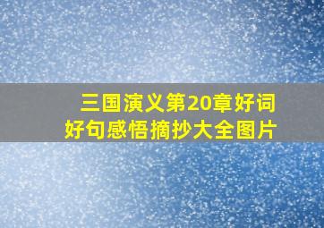 三国演义第20章好词好句感悟摘抄大全图片