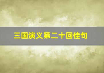 三国演义第二十回佳句