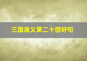 三国演义第二十回好句