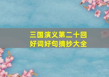 三国演义第二十回好词好句摘抄大全