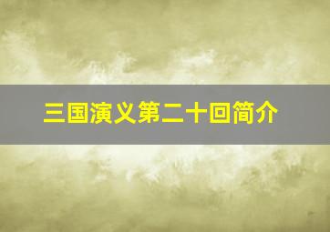 三国演义第二十回简介