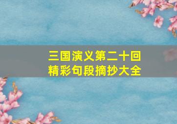 三国演义第二十回精彩句段摘抄大全