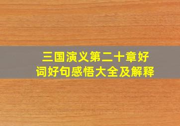 三国演义第二十章好词好句感悟大全及解释