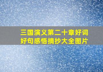 三国演义第二十章好词好句感悟摘抄大全图片