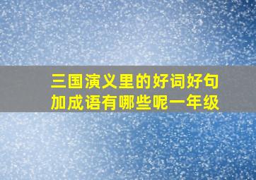 三国演义里的好词好句加成语有哪些呢一年级