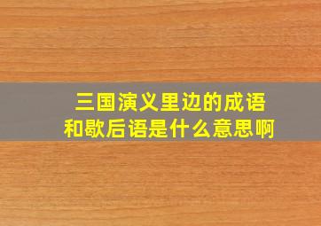 三国演义里边的成语和歇后语是什么意思啊