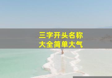 三字开头名称大全简单大气