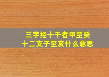 三字经十干者甲至癸十二支子至亥什么意思