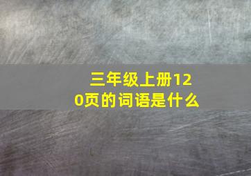 三年级上册120页的词语是什么