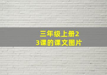 三年级上册23课的课文图片