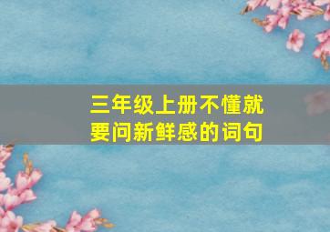 三年级上册不懂就要问新鲜感的词句