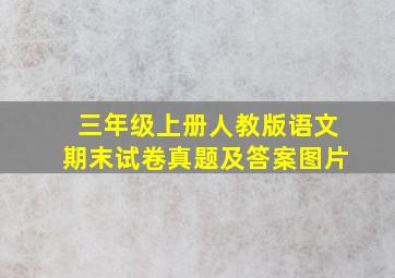 三年级上册人教版语文期末试卷真题及答案图片