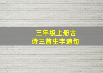 三年级上册古诗三首生字造句