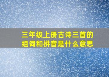 三年级上册古诗三首的组词和拼音是什么意思