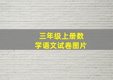 三年级上册数学语文试卷图片