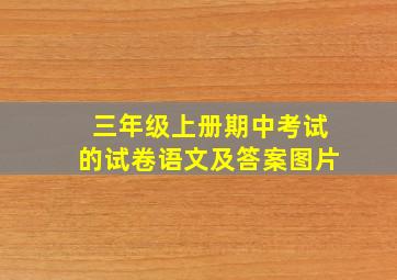 三年级上册期中考试的试卷语文及答案图片