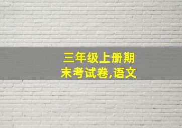 三年级上册期末考试卷,语文