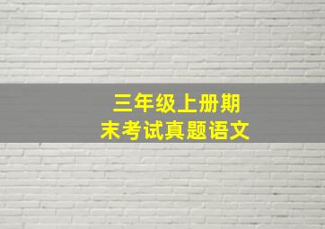 三年级上册期末考试真题语文