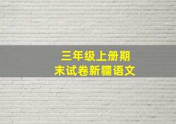 三年级上册期末试卷新疆语文