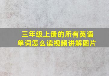 三年级上册的所有英语单词怎么读视频讲解图片