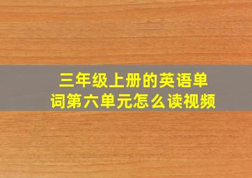 三年级上册的英语单词第六单元怎么读视频