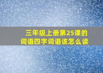 三年级上册第25课的词语四字词语该怎么读