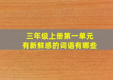 三年级上册第一单元有新鲜感的词语有哪些