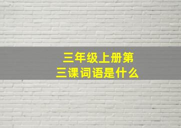 三年级上册第三课词语是什么