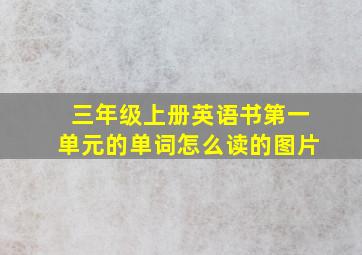 三年级上册英语书第一单元的单词怎么读的图片