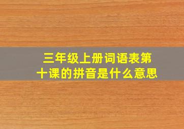 三年级上册词语表第十课的拼音是什么意思